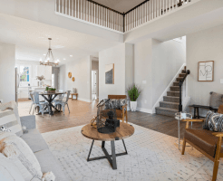 zonasha alpha building