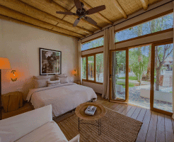 Window Glass Colour Design